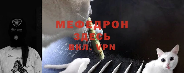 прущие грибы Магас