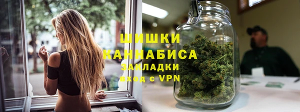 Альфа ПВП Аркадак
